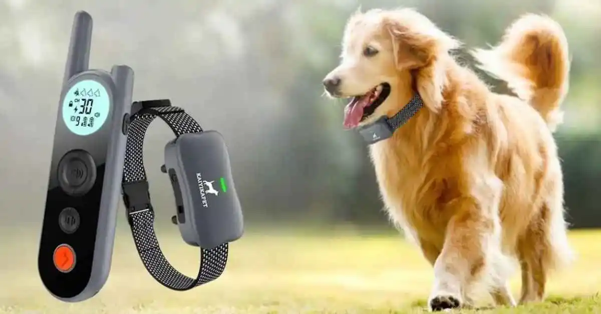 Close up of a remote dog trainer collar, highlighting the charging port and battery life indicator.